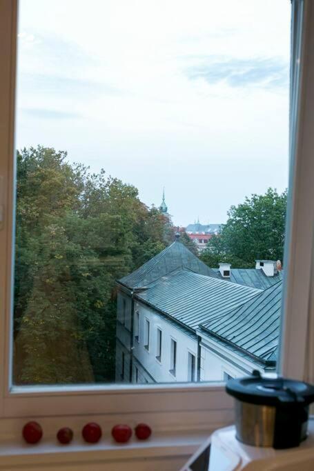 Piekne, Przestronne Mieszkanie Przy Placu Teatralnym. 华沙 外观 照片